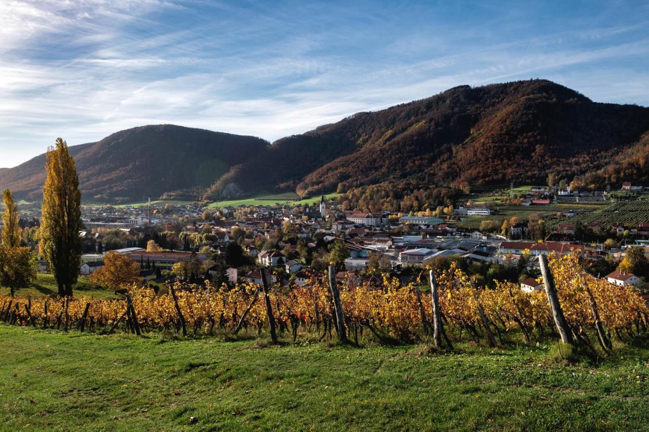Dvorec Trebnik - Sobe Словенске-Конице Экстерьер фото