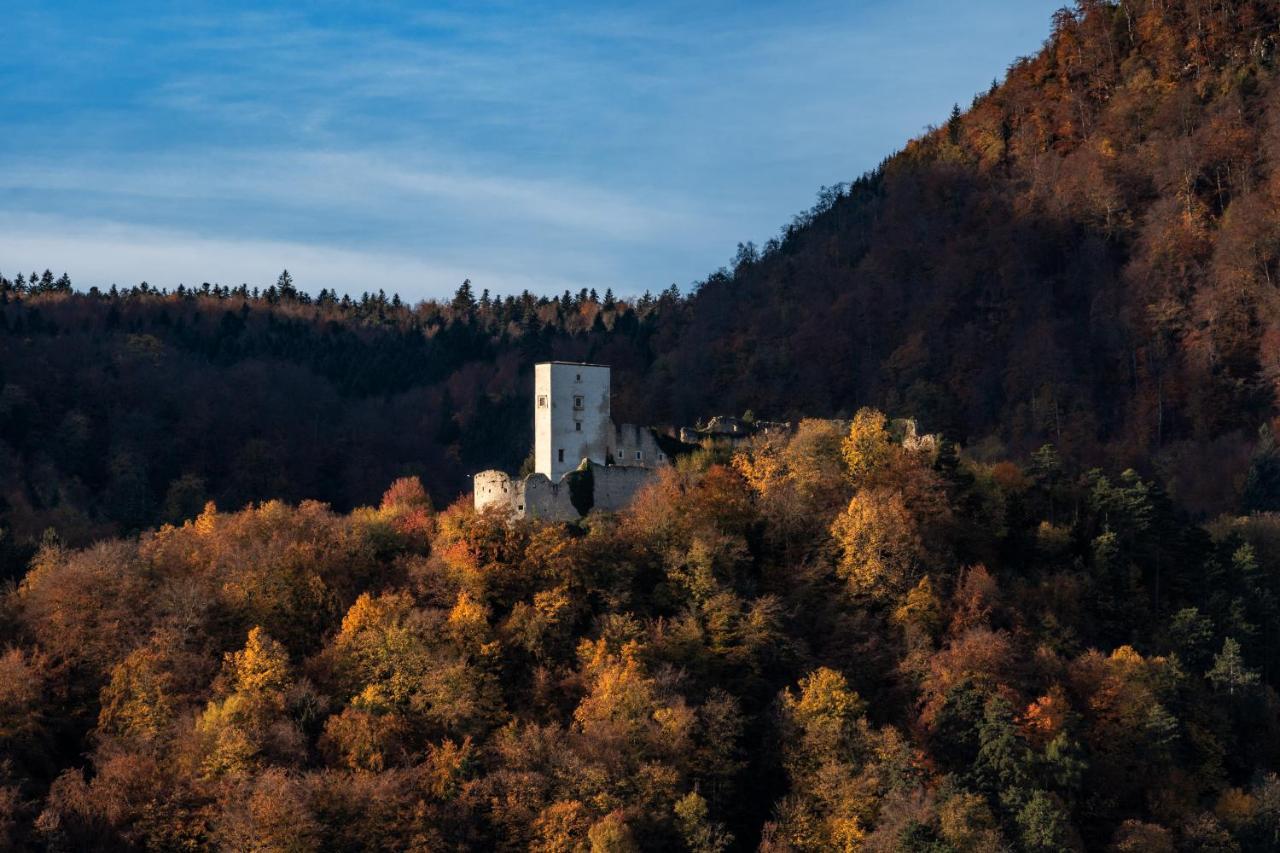 Dvorec Trebnik - Sobe Словенске-Конице Экстерьер фото