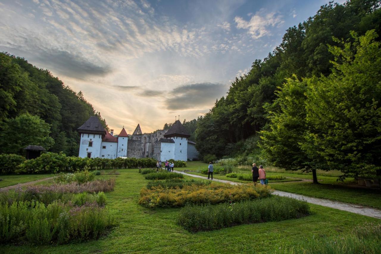 Dvorec Trebnik - Sobe Словенске-Конице Экстерьер фото