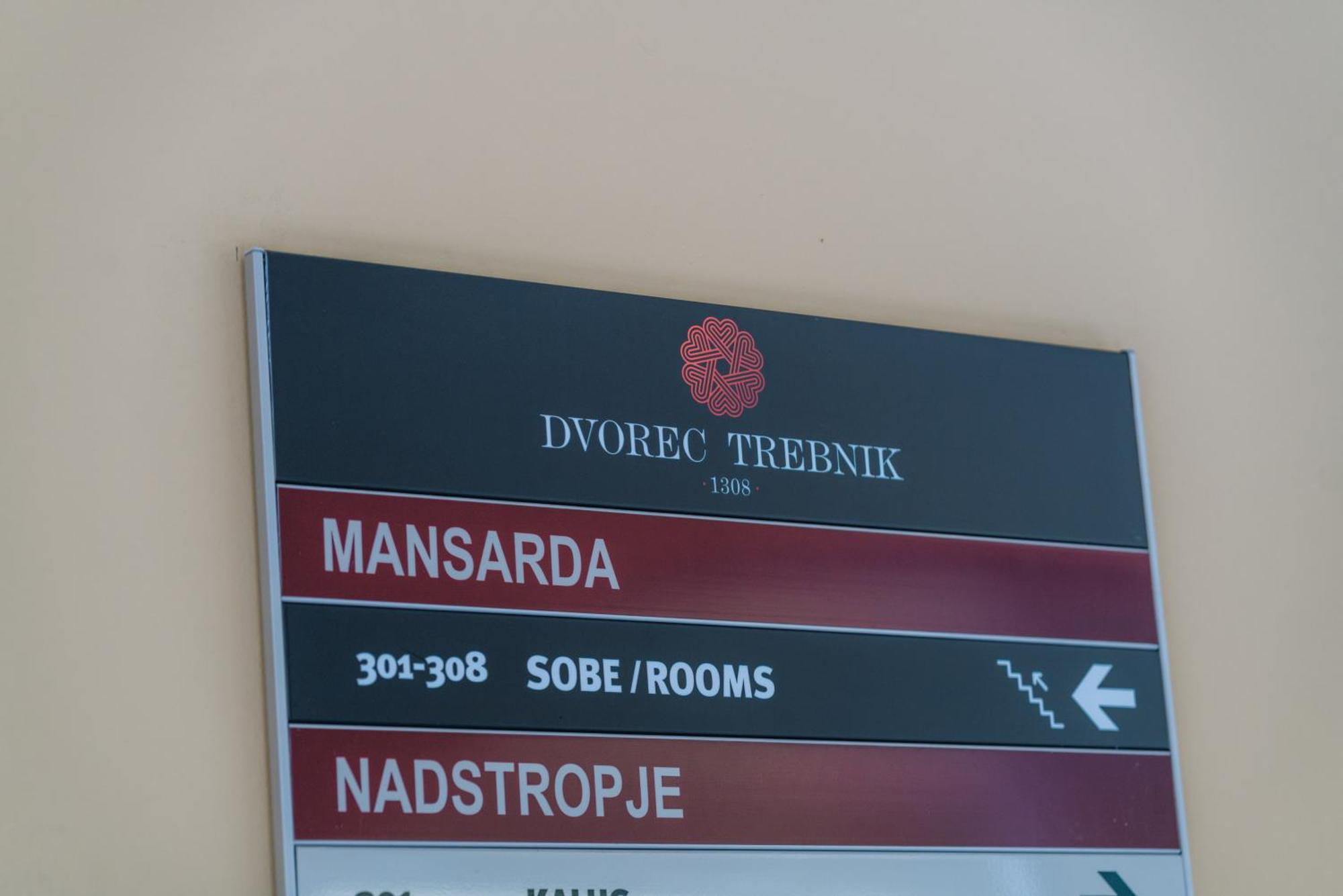 Dvorec Trebnik - Sobe Словенске-Конице Экстерьер фото